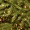 9ft. Pre-Lit Dunhill® Fir Tree Artificial Christmas Tree, Clear Lights
